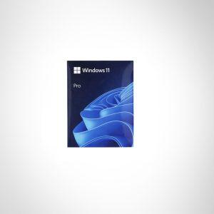 WINDOWS 11 PRO 64 BIT (FPP) HAV-00163